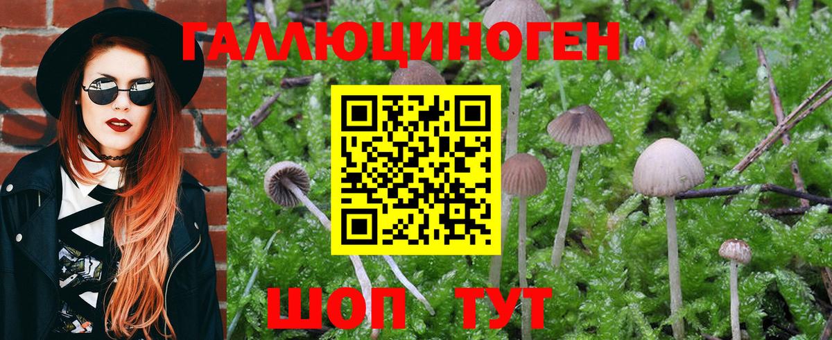Псилоцибиновые грибы MAGIC MUSHROOMS Трёхгорный