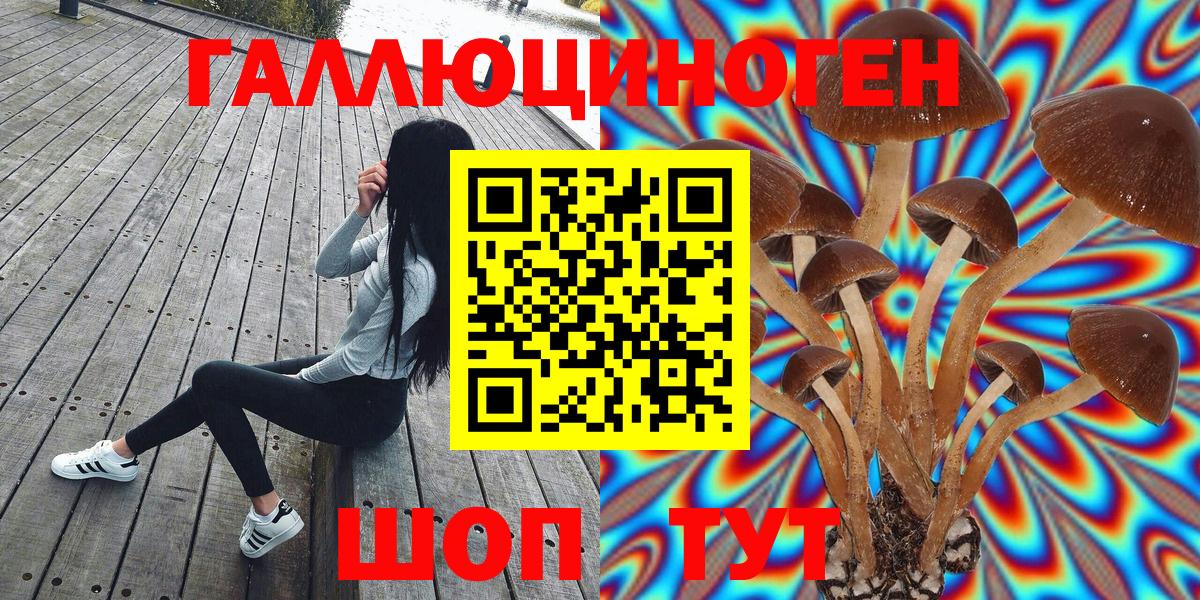 купить наркотики сайты  Псилоцибиновые грибы Cubensis  Вход с VPN  Трёхгорный 